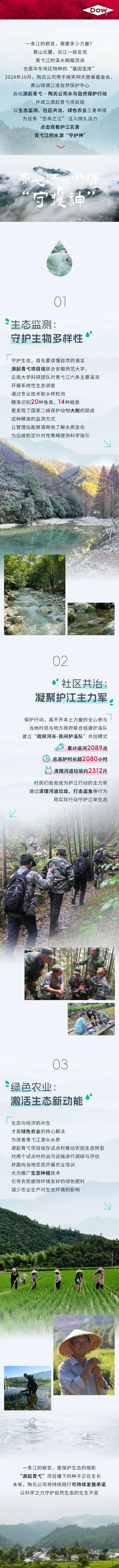 135editor_06051026_68410062d8c7820250605102642